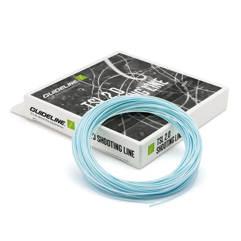 Guideline TSL 2.0 DC 1 Guideline TSL 2.0 DC