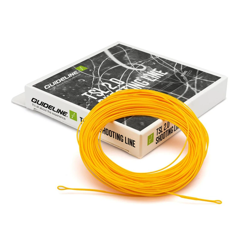 Guideline TSL 2.0 DC 2 Guideline TSL 2.0 DC – Image 2