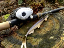 Quantum Accurist Baitcast AT101 HPT 11 Quantum Accurist Baitcast AT101 HPT -Magasin De Matériel De Pêche 22 570101 6