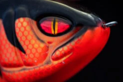 Daiwa PX Lazy Jerk Distance -Magasin De Matériel De Pêche 32 217457r 4