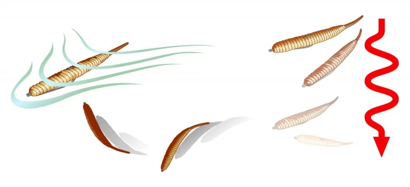 Deps Deathadder 4'' 3 Deps Deathadder 4'' – Image 3