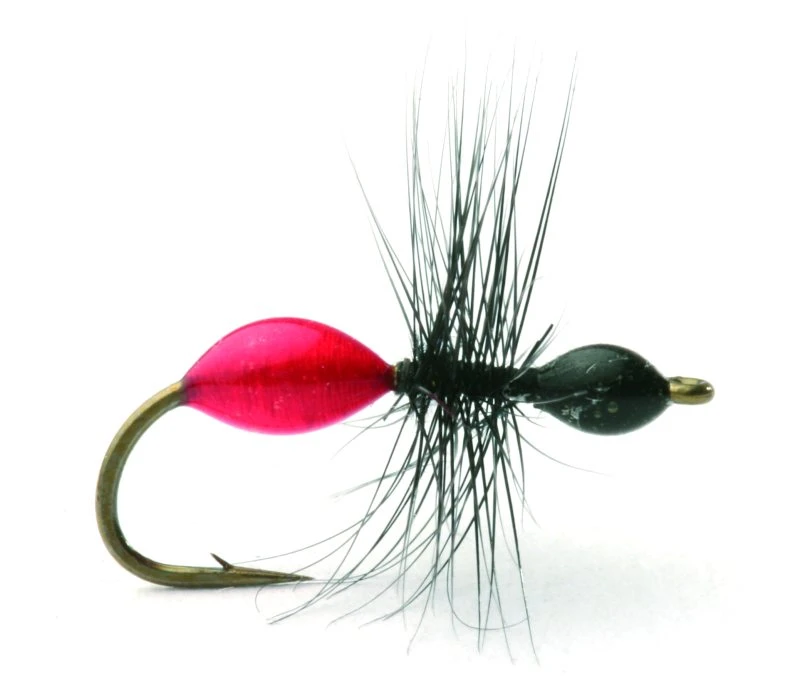 Transparant Ant Black/Red Maur Tørr 1 Transparant Ant Black/Red Maur Tørr