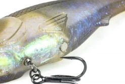 Molix Hybrid Swimmer 16,5cm, 70g -Magasin De Matériel De Pêche HS165 102r 3