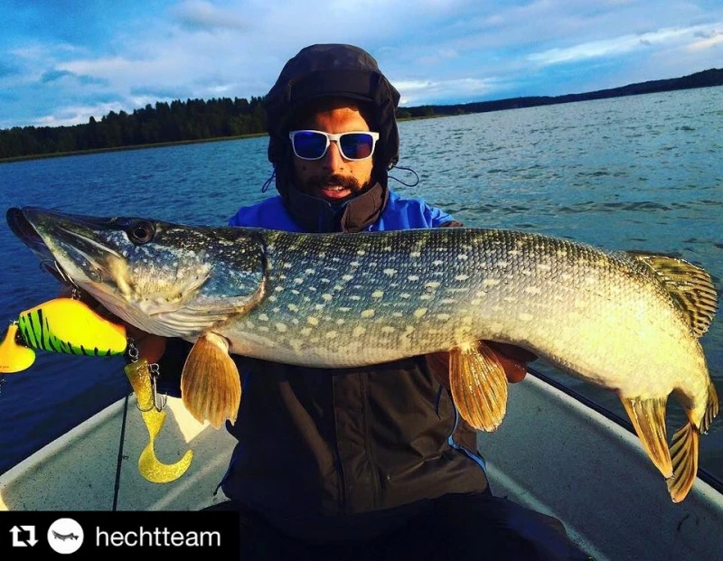 Headbanger Tail 4 Headbanger Tail – Image 4