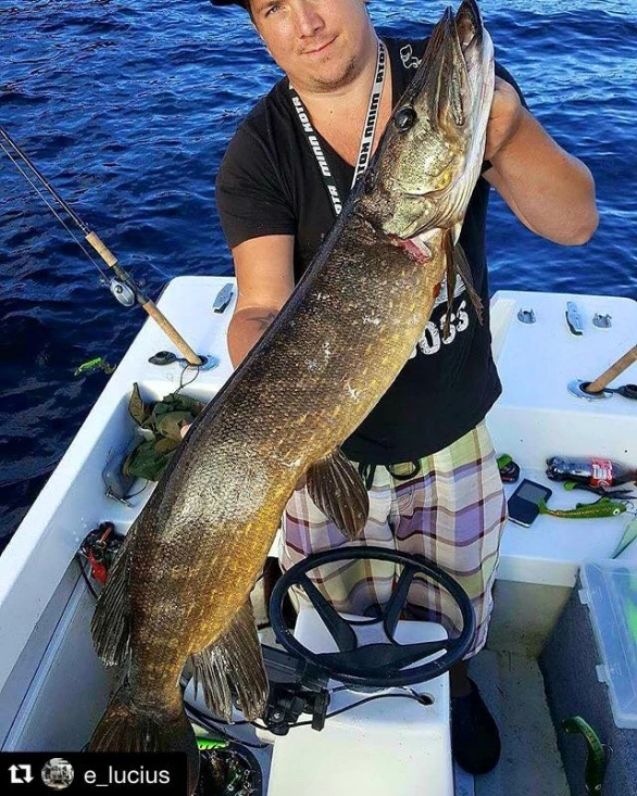 Headbanger Tail 5 Headbanger Tail – Image 5