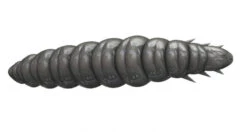 Libra Lures Larva 30 Krill -Magasin De Matériel De Pêche L30K15P 006r 3