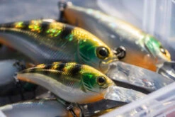 Shimano Yasei Cover Crank F 9 Shimano Yasei Cover Crank F -Magasin De Matériel De Pêche LUYASCCFSR07RBTr 4