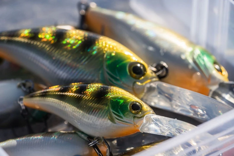 Shimano Yasei Cover Crank F 4 Shimano Yasei Cover Crank F – Image 4