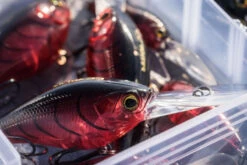 Shimano Yasei Cover Crank F 10 Shimano Yasei Cover Crank F -Magasin De Matériel De Pêche LUYASCCFSR07RBTr 5