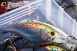 Shimano Yasei Cover Crank F 11 Shimano Yasei Cover Crank F -Magasin De Matériel De Pêche LUYASCCFSR07RBTr 6