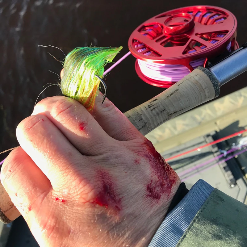 Vision XLV Mama 8/9 Flugrulle 2 Vision XLV Mama 8/9 Flugrulle – Image 2