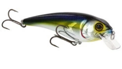 RawBite 11cm 27g Low Floating -Magasin De Matériel De Pêche WS14112r 4