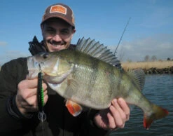 Platypus Deep Runner 10 Cm 7 Platypus Deep Runner 10 Cm -Magasin De Matériel De Pêche WS17912r 3